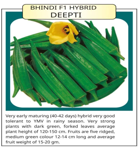 Bhindi F1 Hybrid Deepti