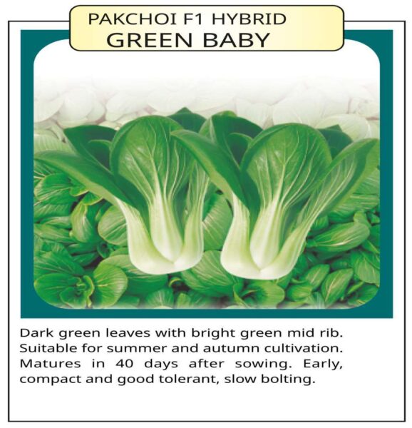 Pakchoi F1 Hybrid Green Baby