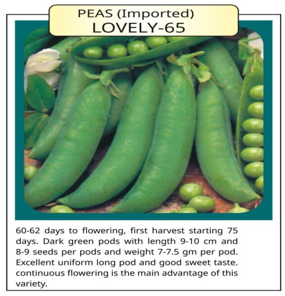 Peas (Imported) Lovely – 65