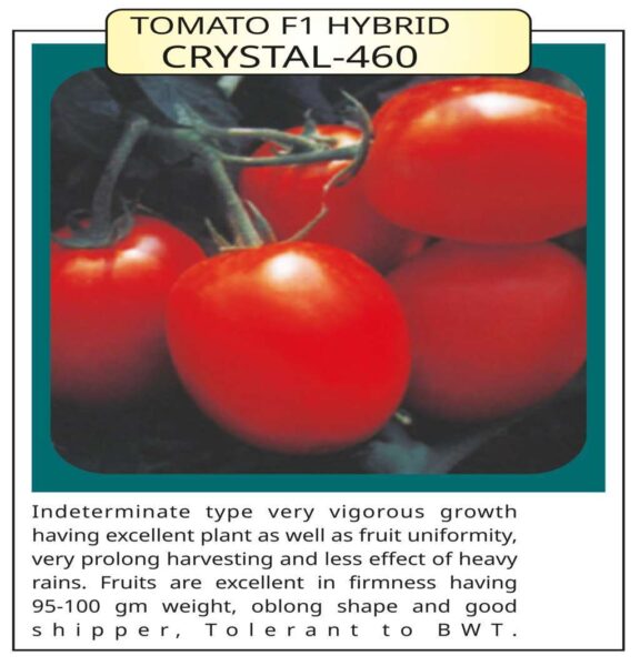 Tomato F1 Hybrid Crystal – 460